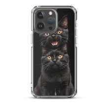 Two Black Cats Follows iPhone Case