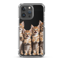 Four Cute Cats iPhone Case