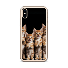 Four Cute Cats iPhone Case