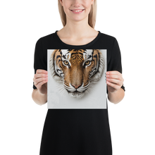 Silent Tiger Head Poster Print Art