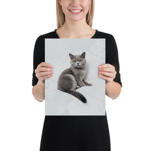 Relaxing British Shorthair Cat Poster Print Art