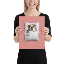 Sleeping Bulldog Poster Print Art