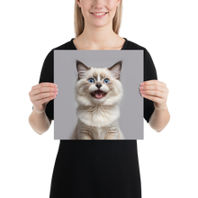 Ragdoll Kitten Poster Print Art