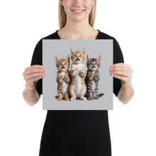 Funny Tripple Cats Poster Print Art