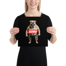 Sumo Bulldog Black Poster Print Art