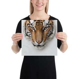 Silent Tiger Head Poster Print Art