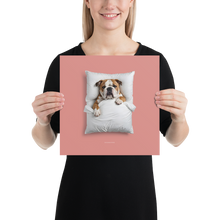 Sleeping Bulldog Poster Print Art