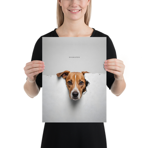 Funny Sad Dog Peep Poster Print Art