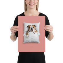 Sleeping Bulldog Poster Print Art