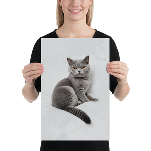 Relaxing British Shorthair Cat Poster Print Art