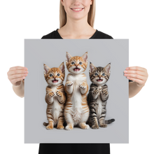 Funny Tripple Cats Poster Print Art