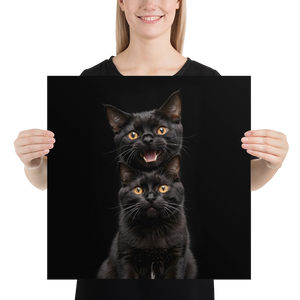 Two Black Cats Follows Poster Print Art