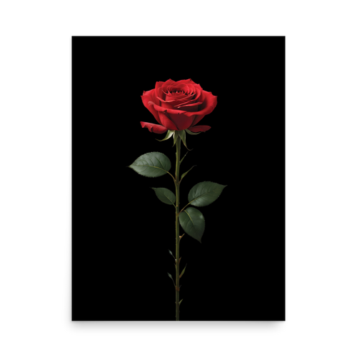 Red Rose on Black Poster Print Art