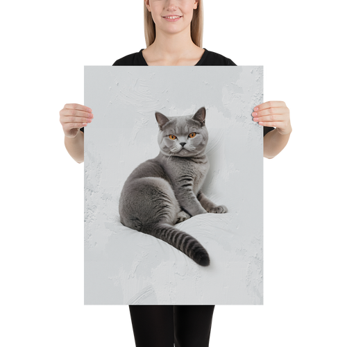 Relaxing British Shorthair Cat Poster Print Art