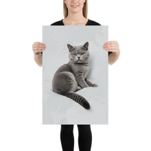 Relaxing British Shorthair Cat Poster Print Art