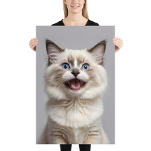 Ragdoll Kitten Poster Print Art