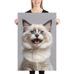 Ragdoll Kitten Poster Print Art