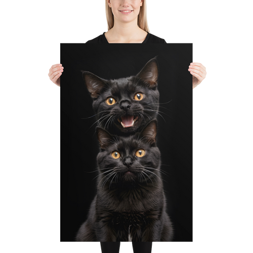 Two Black Cats Follows Poster Print Art