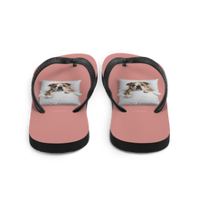 Sleeping Bulldog Flip Flops