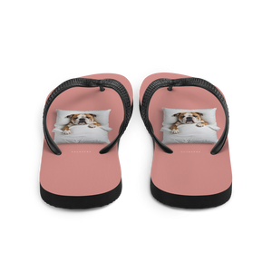 Sleeping Bulldog Flip Flops