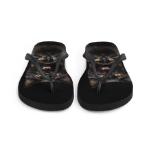 Two Black Cats Follows Flip Flops