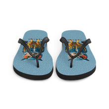 Blue Owl Flip Flops