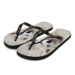 Siberian Husky Flip Flops