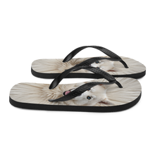 Siberian Husky Flip Flops