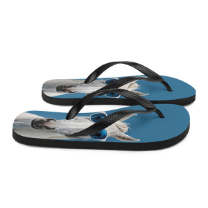 Cool Blue Horse Flip Flops