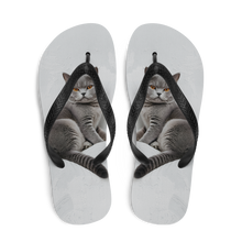 Relaxing British Shorthair Cat Flip Flops