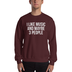 I Like Music and Maybe 3 People Unisex Sweatshirt