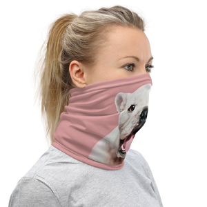 Cute White Bulldog Mask & Neck Gaiter