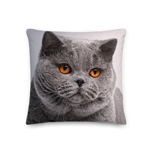 British Shorthair (Cat Lover) Premium Square Pillow by Design Express