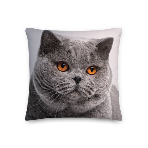 18″×18″ British Shorthair (Cat Lover) Premium Square Pillow by Design Express