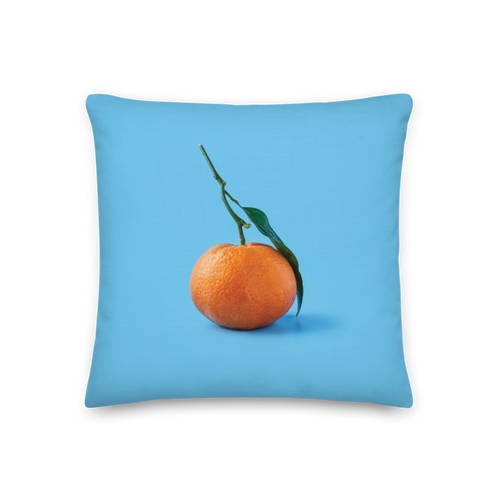 18″×18″ Orange on Blue Premium Square Pillow by Design Express