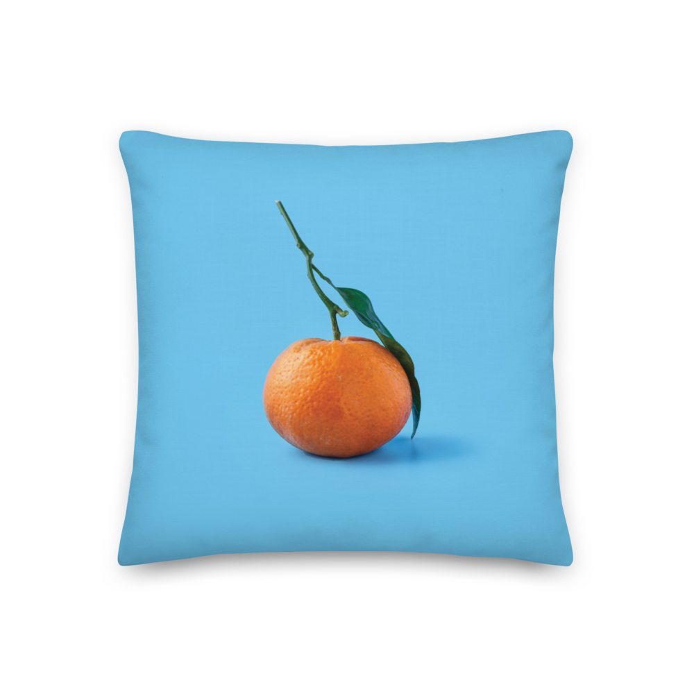 18″×18″ Orange on Blue Premium Square Pillow by Design Express