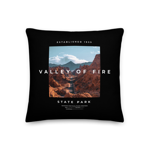 18″×18″ Valley of Fire Premium Pillow by Design Express