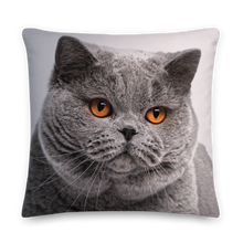 British Shorthair (Cat Lover) Premium Square Pillow by Design Express