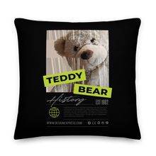 22″×22″ Teddy Bear Hystory Premium Pillow by Design Express