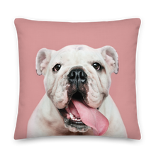 Cute White Bulldog Premium Pillow