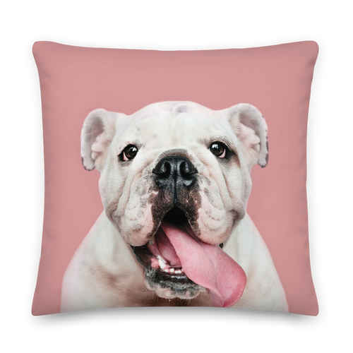 Cute White Bulldog Premium Pillow