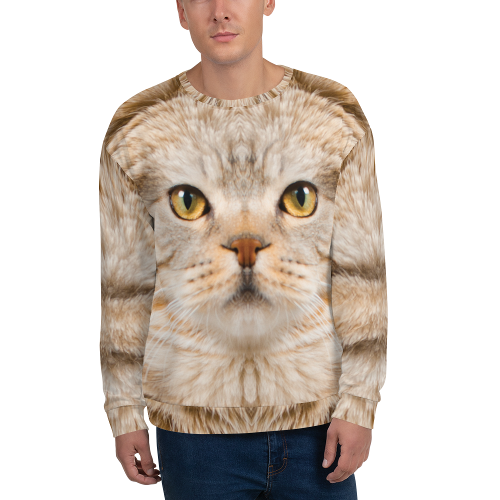 XS Scottish Fold 