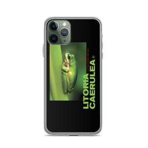 iPhone 11 Pro Litoria Caerulia iPhone Case by Design Express