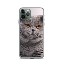 iPhone 11 Pro British Shorthair (Cat Lover) iPhone Case by Design Express