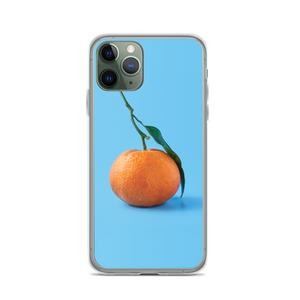 iPhone 11 Pro Orange on Blue iPhone Case by Design Express