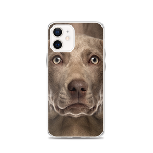 iPhone 12 Weimaraner Dog iPhone Case by Design Express