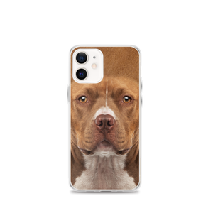 iPhone 12 mini Staffordshire Bull Terrier Dog iPhone Case by Design Express