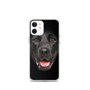 iPhone 12 mini Labrador Dog iPhone Case by Design Express