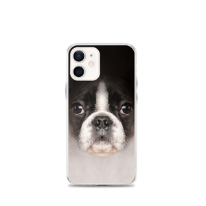 iPhone 12 mini Boston Terrier Dog iPhone Case by Design Express