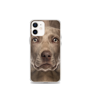 iPhone 12 mini Weimaraner Dog iPhone Case by Design Express